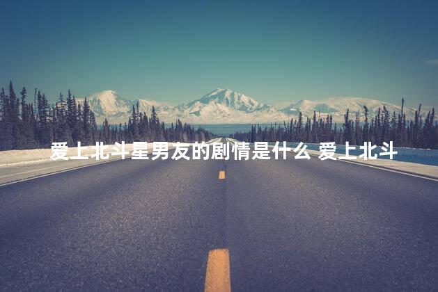 爱上北斗星男友的剧情是什么 爱上北斗星男友剧情介绍
